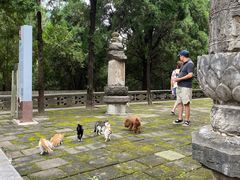 -四门塔风景区