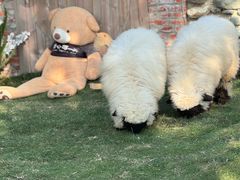 -HERRE·FARM 赫尔露营农场·团建聚会包场