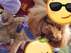 -纳吉亚猫专科动物医院博雅分院