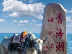 -青海湖国家重点风景名胜区