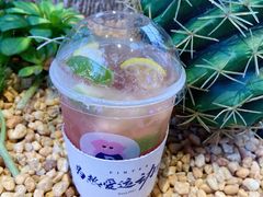 -PINTEA LAB(北京路店)