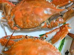 -吕四渔港码头海鲜餐厅