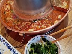 -东镇老火锅(高新区店)
