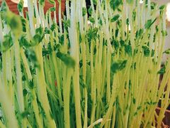 -鲜货俚·现切牛肉·野生菌原生态火锅(西城永捷生活广场店)