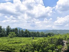 -中旅阿那亚九龙湖·公主酒店