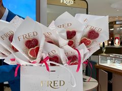 -FRED斐登(SKP店)