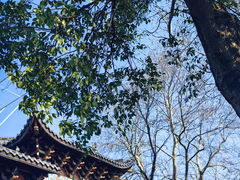 -灵顺寺