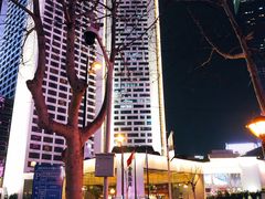 -南京金陵饭店