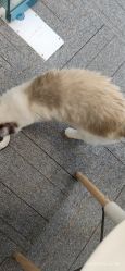 -元一肌肤管理中心