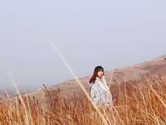 -恋山坝上草原