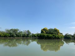 -大湾区中央湿地公园
