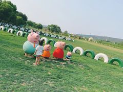 -大连铭湖国际观光牧场