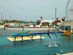 -秦皇岛乐岛海洋王国