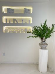 -安那般那皮肤年轻化ANAPANA