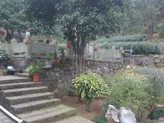-嘉龙茶庄