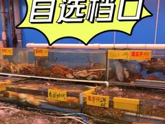 水产区-四海之家(蛇口店)
