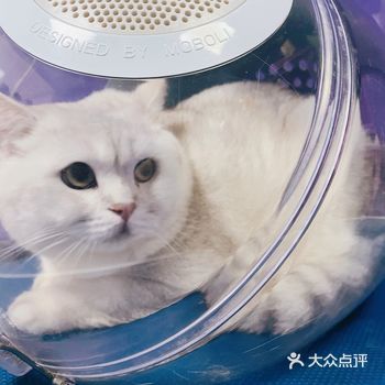 环境介绍： 地址在三里屯首开外围商铺 按导航很好找