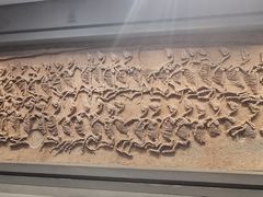 -齐文化博物馆