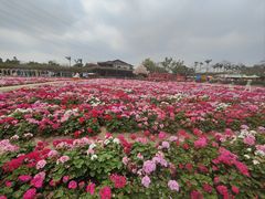 -盈香心动乐园