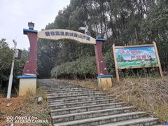 -潜山国家森林公园