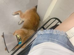 -NOTBAD 须时·咖啡馆