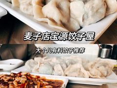 -宝源饺子(麦子店街店)