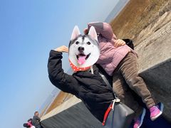 -南汇嘴观海公园