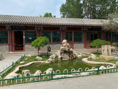 -荣国府