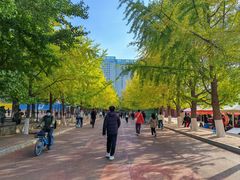 -辽宁大学(崇山校区)