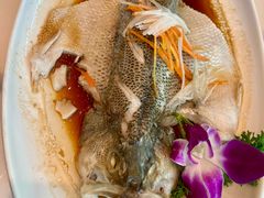 -刘胖子家常菜·蹄花焖藕(兴业店)