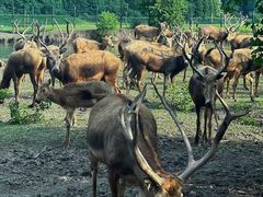 -溱湖国家湿地公园