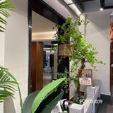 在宗关，有一家做了33年的老店