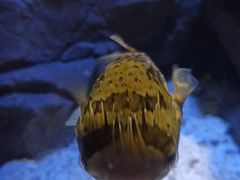 -成都浩海立方海洋公园