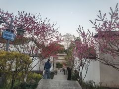 -乌山风景区