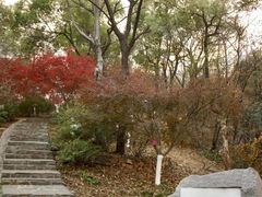 -岳麓山风景名胜区