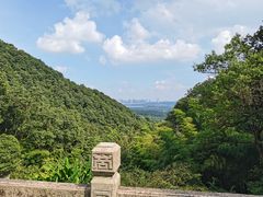 -韬光茶庵