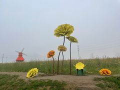 -杭州湾海上花田景区
