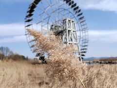 -苏州太湖国家湿地公园