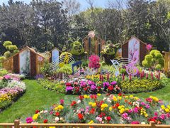 -上海共青森林公园