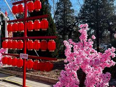 -北京石景山游乐园