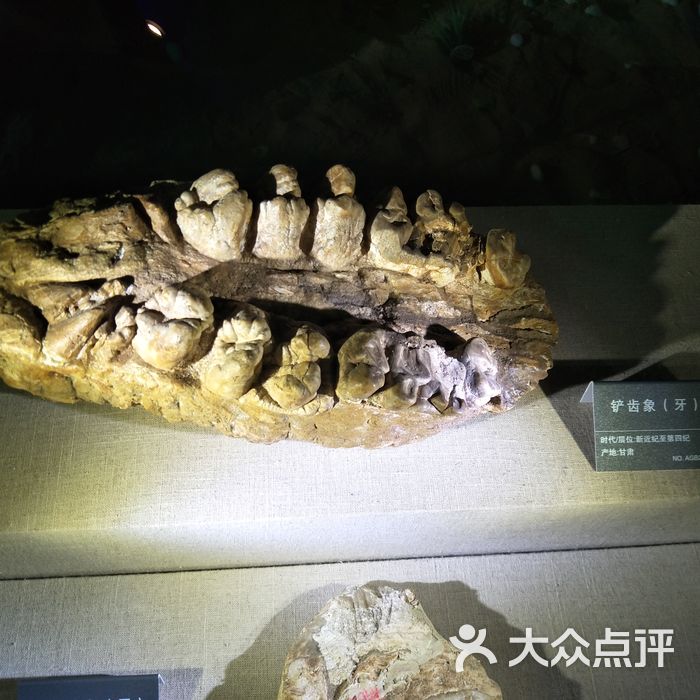 安徽省地质博物馆停车场