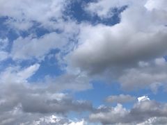 -野狸岛