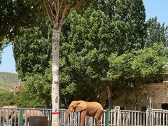 -石家庄市动物园