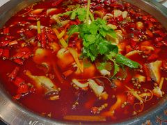 -蛙一刀·麻椒鱼火锅(金仙桥店)