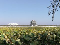 -呼兰河口湿地公园