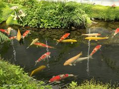 -罗红摄影艺术馆