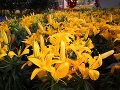 -二沙岛艺术公园