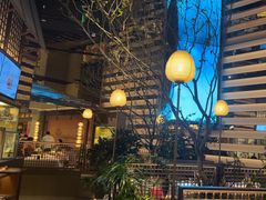 -桂满陇·海市蜃楼·黑金(国金店)