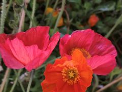 -云南省昆明市正义路步行街(三市街)