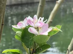 -元大都城垣遗址公园